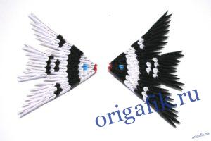Скалярия оригами