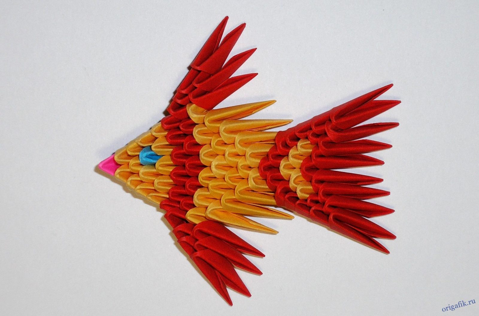 Модульное оригами - павлин (обыкновенный и синий): пошаговая инструкция и видеоматериалы